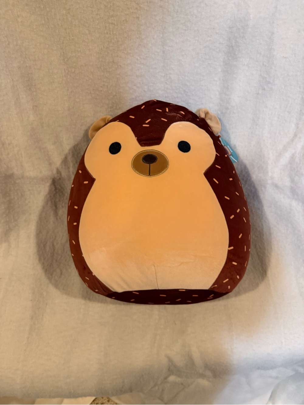 Hans the hedghog squishmallow